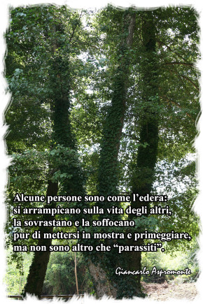Alcune persone sono come l’edera.
