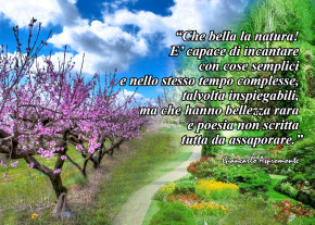 Soffia il vento…