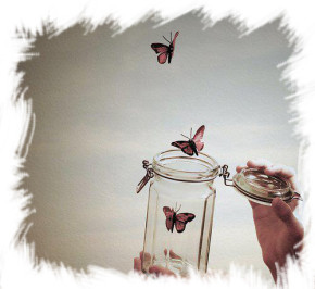 L’amore è come una farfalla…