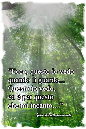 Ecco, questo io vedo…