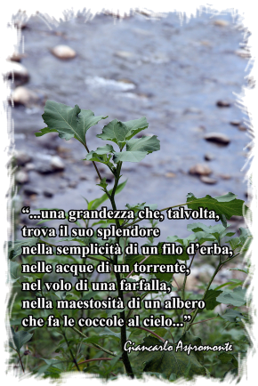 Ho scoperto un mondo che vive e si nutre di piccole cose…