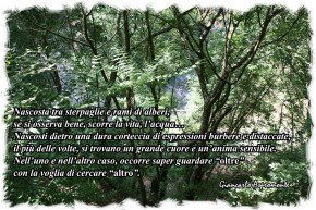 Occorre saper guardare “oltre”…