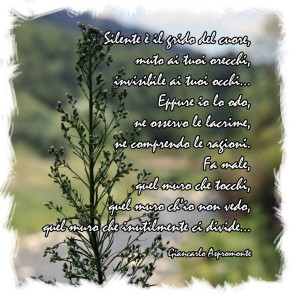 Silente è il grido del cuore…