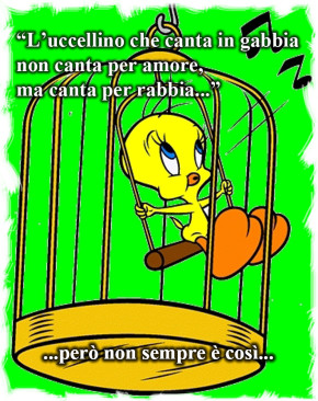 “L’uccellino che canta in gabbia…”