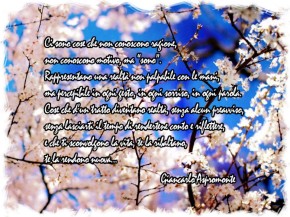 Ci sono cose che non conoscono ragione…