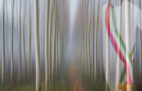 Avevo “svenduto” la mia onestà…