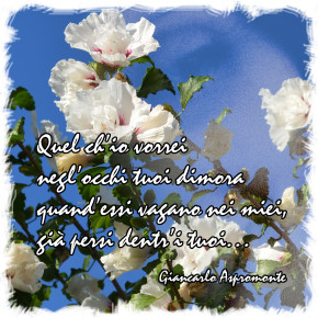 Quel ch’io vorrei…