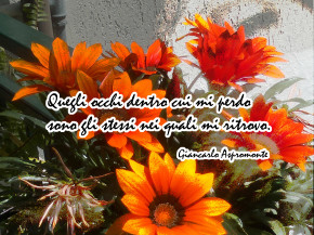 Quegli occhi…