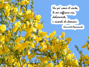 Un po’ come il vento