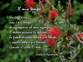 Il mio tempo