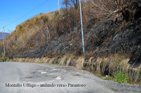 Montalto Uffugo, San Vincenzo La Costa, San Fili: in comune una strada disastrata e niente autobus.